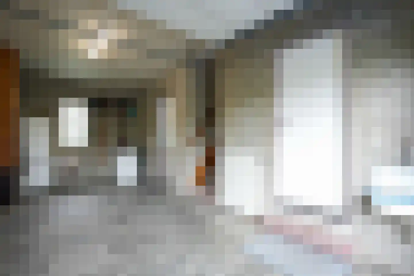 Exelsboom 8 Geleen thumbnail 20