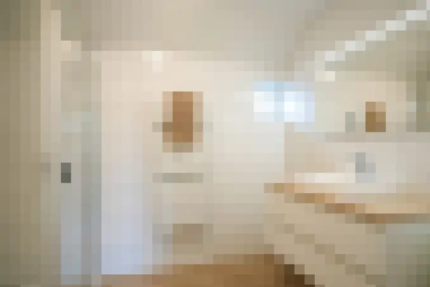 Exelsboom 8 Geleen thumbnail 28