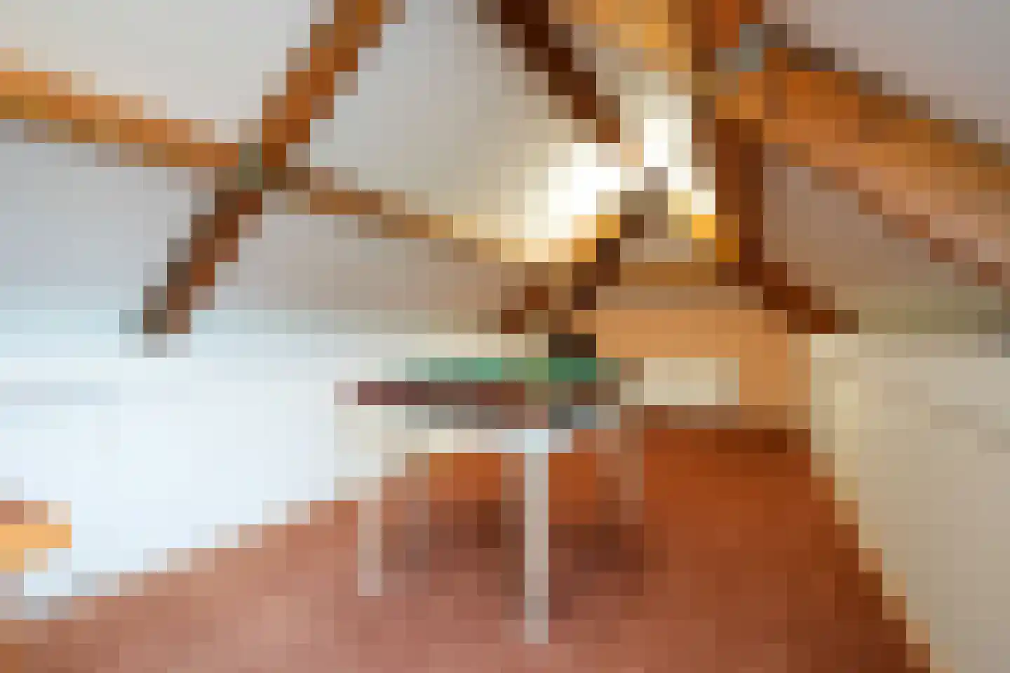 Exelsboom 8 Geleen thumbnail 32
