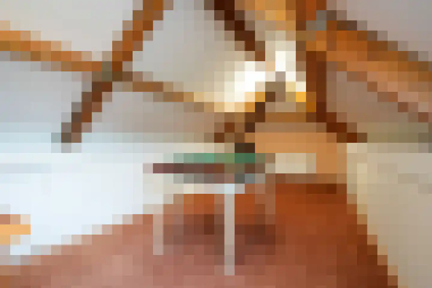Exelsboom 8 Geleen thumbnail 33