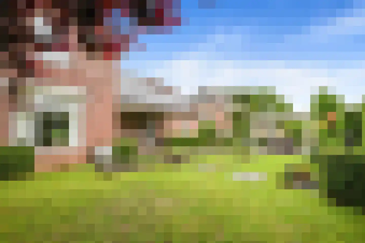 Exelsboom 8 Geleen thumbnail 32