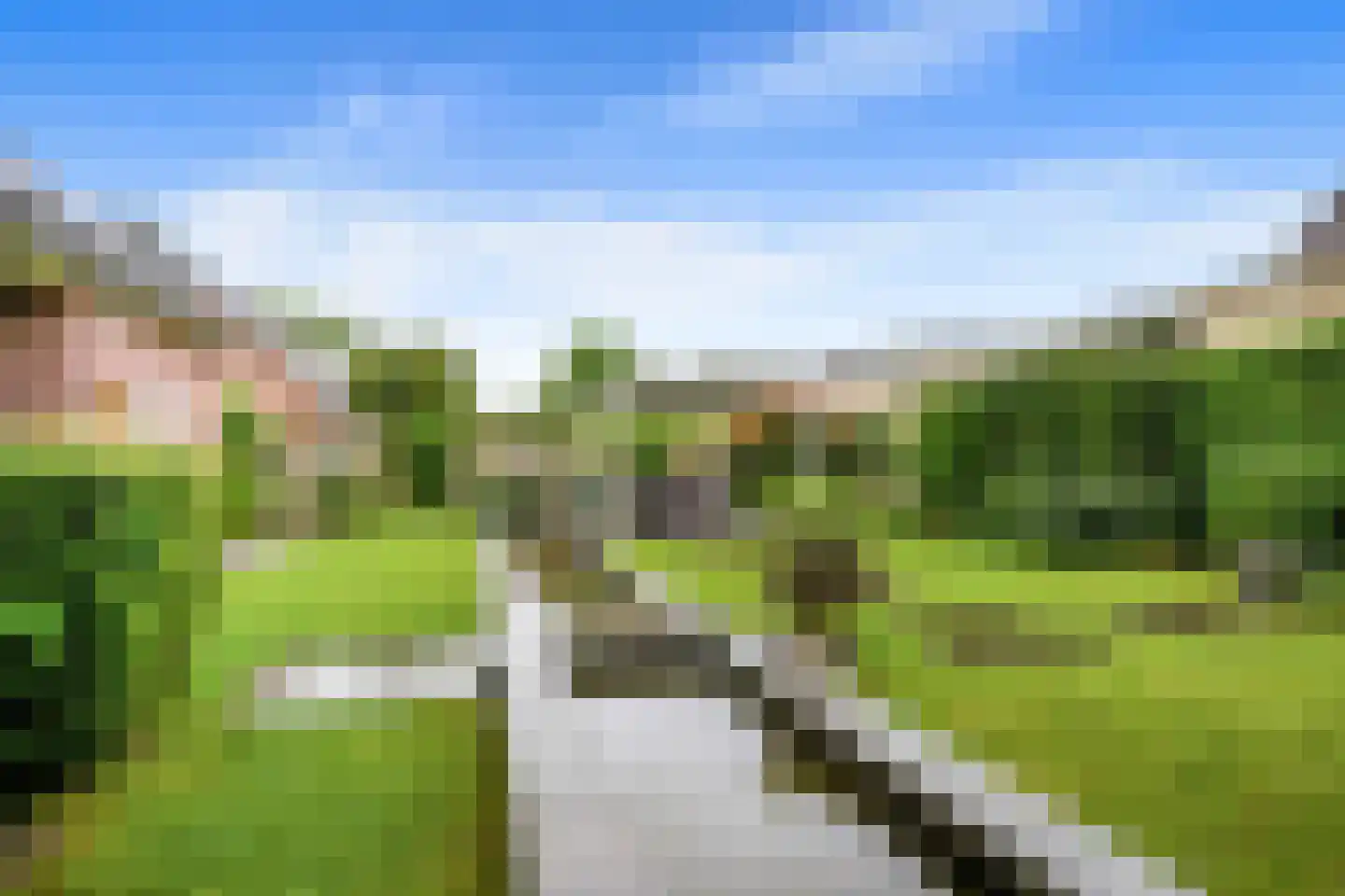 Exelsboom 8 Geleen thumbnail 38