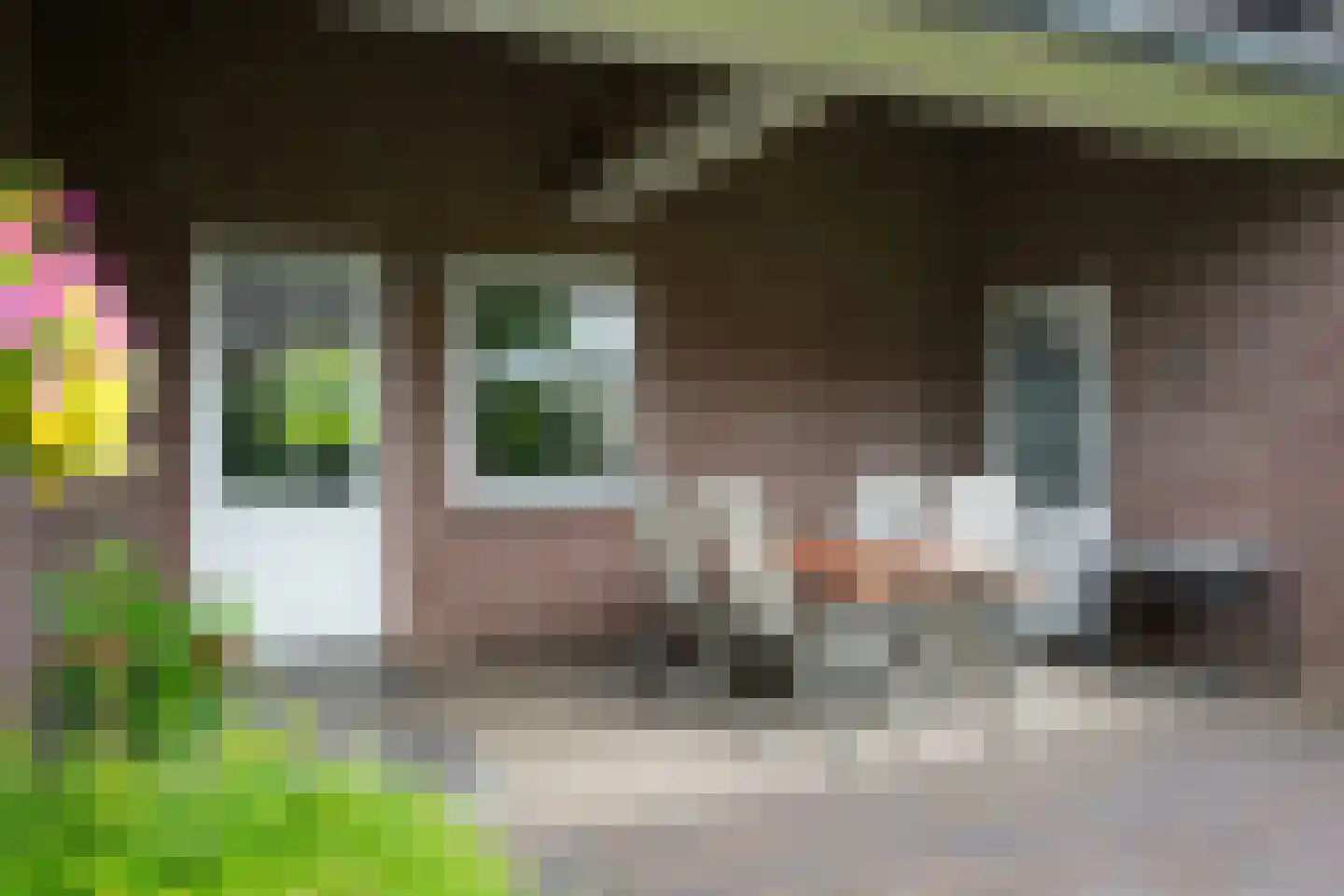 Exelsboom 8 Geleen thumbnail 40