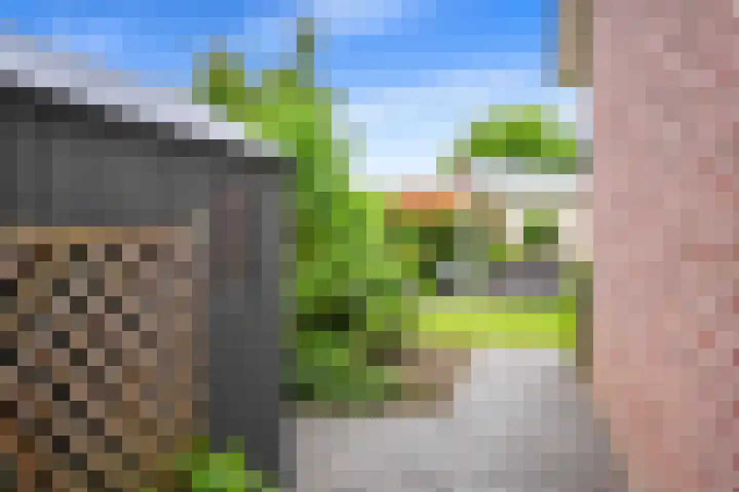 Exelsboom 8 Geleen thumbnail 41
