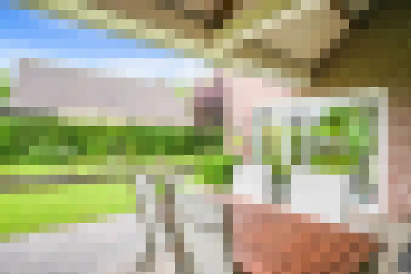 Exelsboom 8 Geleen thumbnail 42