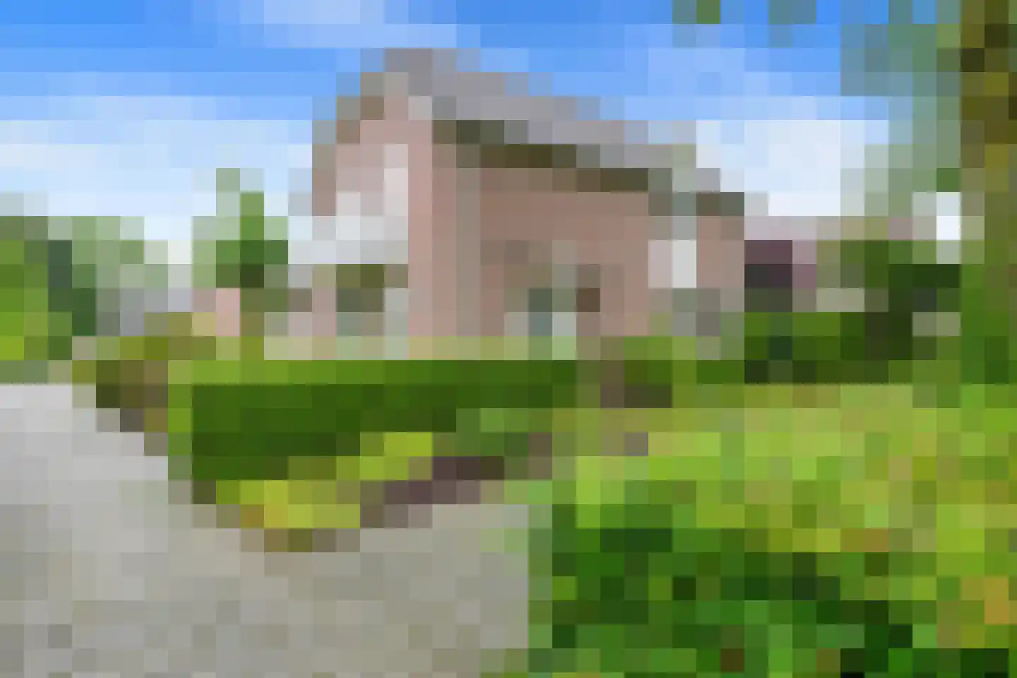 Exelsboom 8 Geleen thumbnail 46