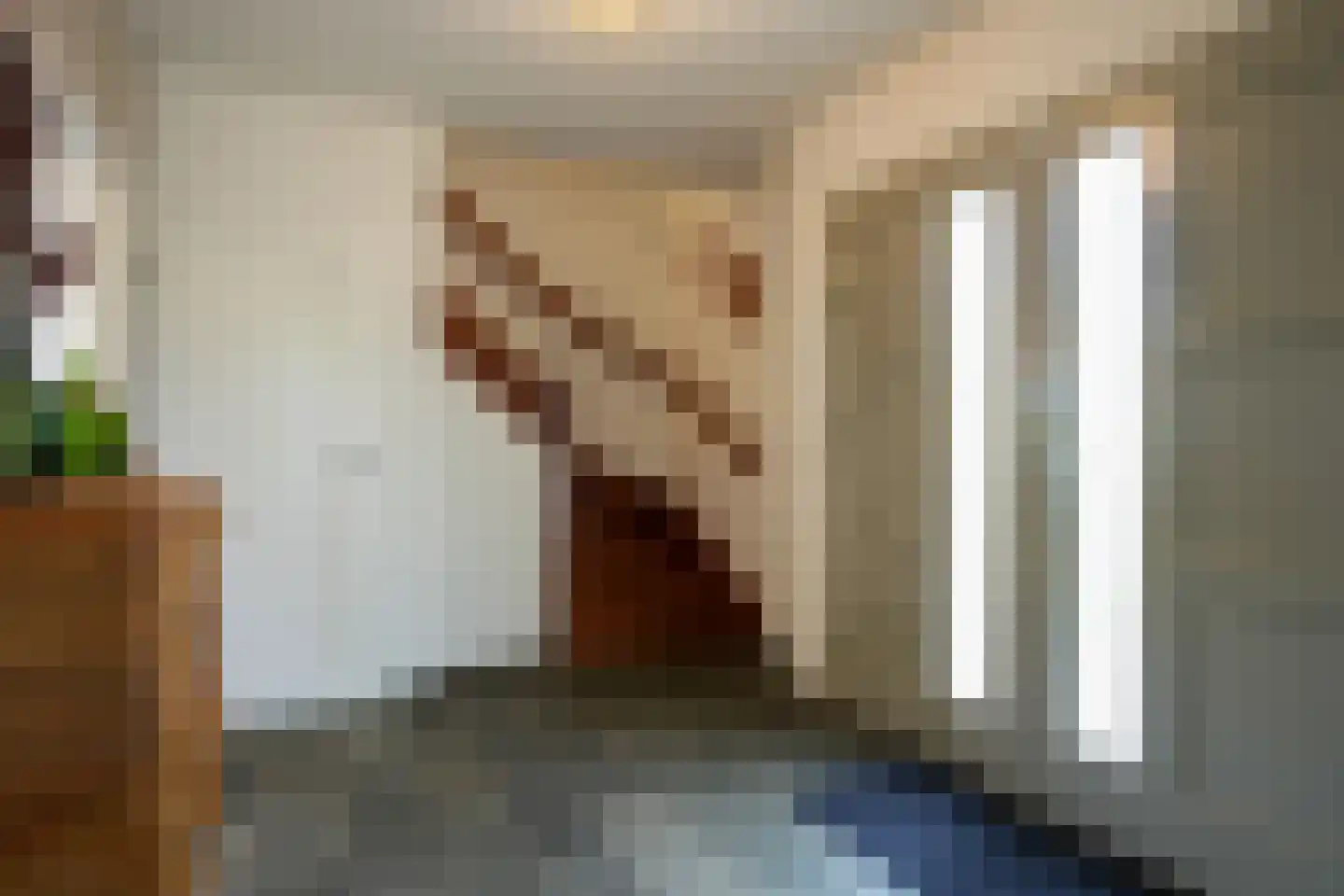 Exelsboom 8 Geleen thumbnail 6