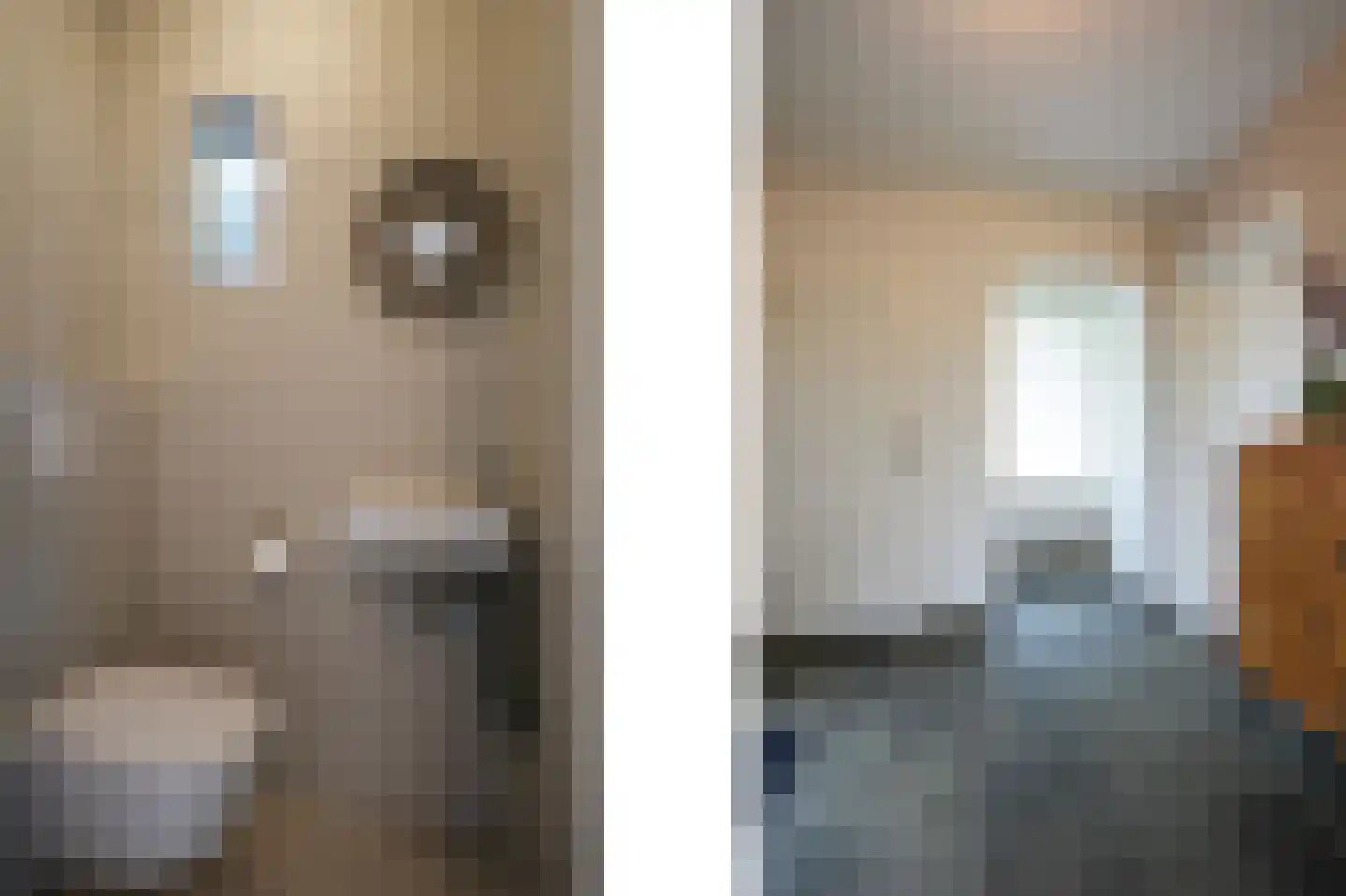 Exelsboom 8 Geleen thumbnail 7