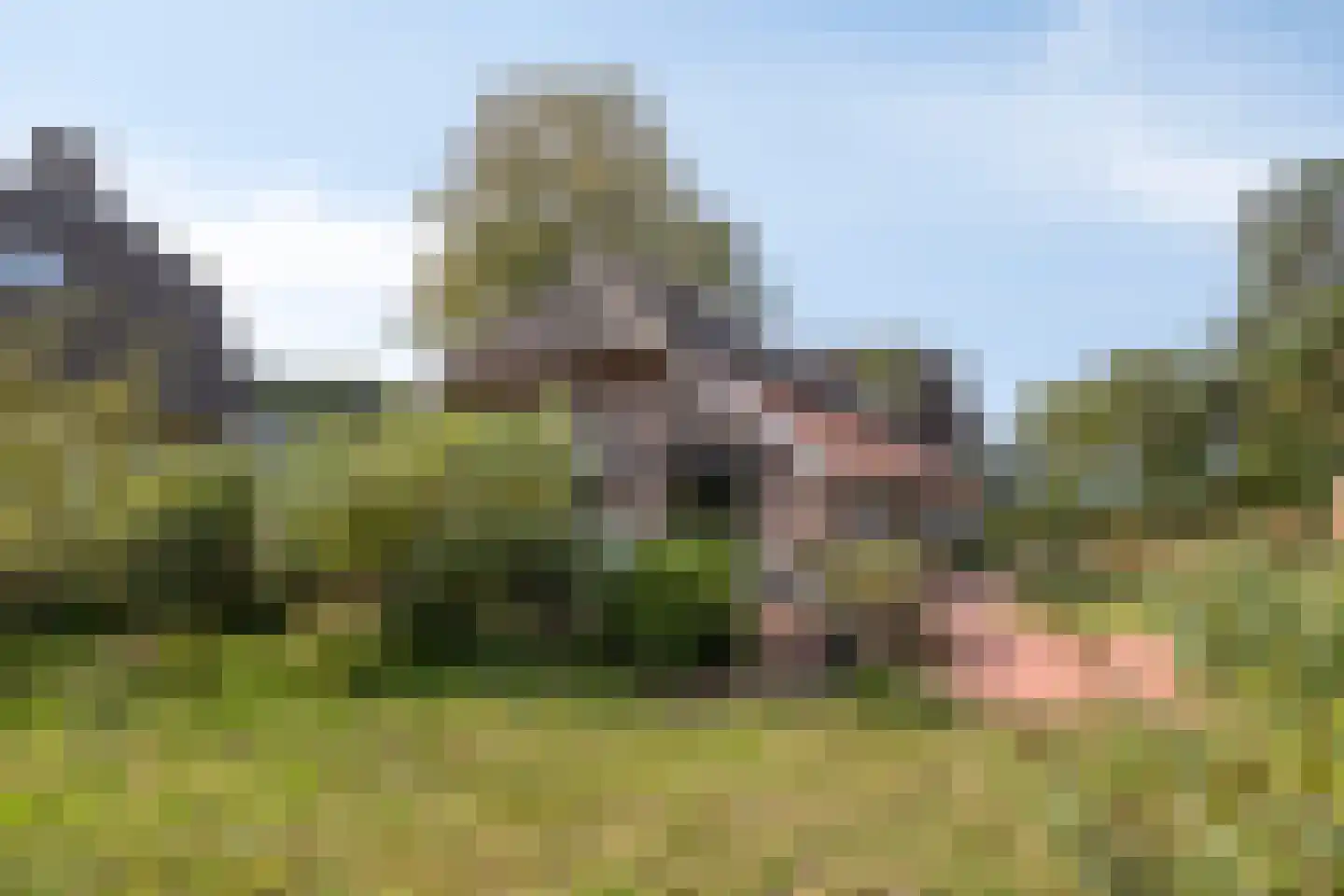 Exelseweg 23 Laren thumbnail 11