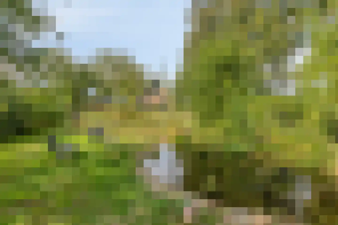 Exelseweg 23 Laren thumbnail 13