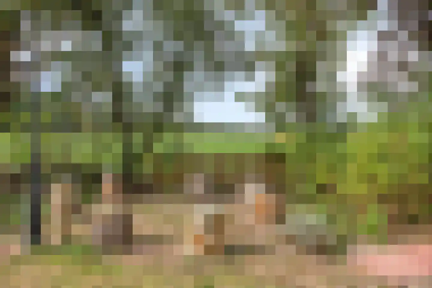 Exelseweg 23 Laren thumbnail 14