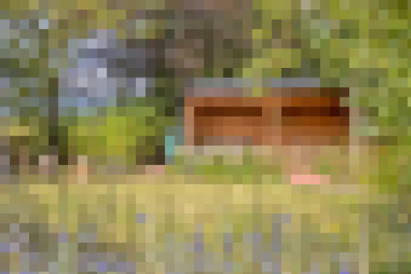 Exelseweg 23 Laren thumbnail 15