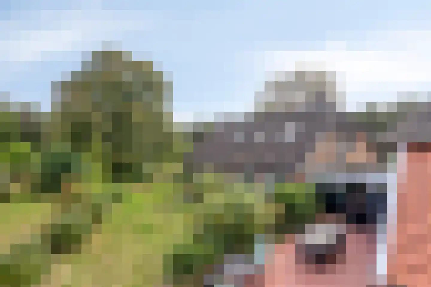 Exelseweg 23 Laren thumbnail 20