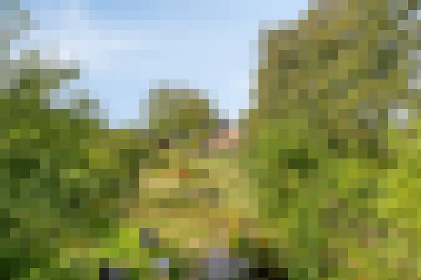 Exelseweg 23 Laren thumbnail 27