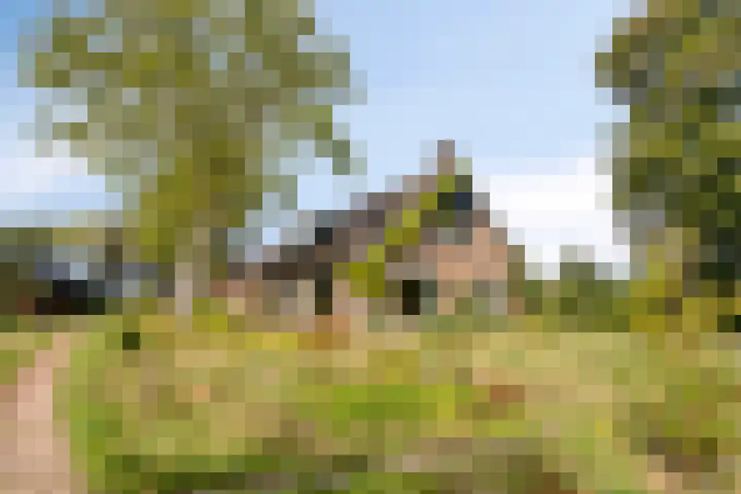 Exelseweg 23 Laren thumbnail 28