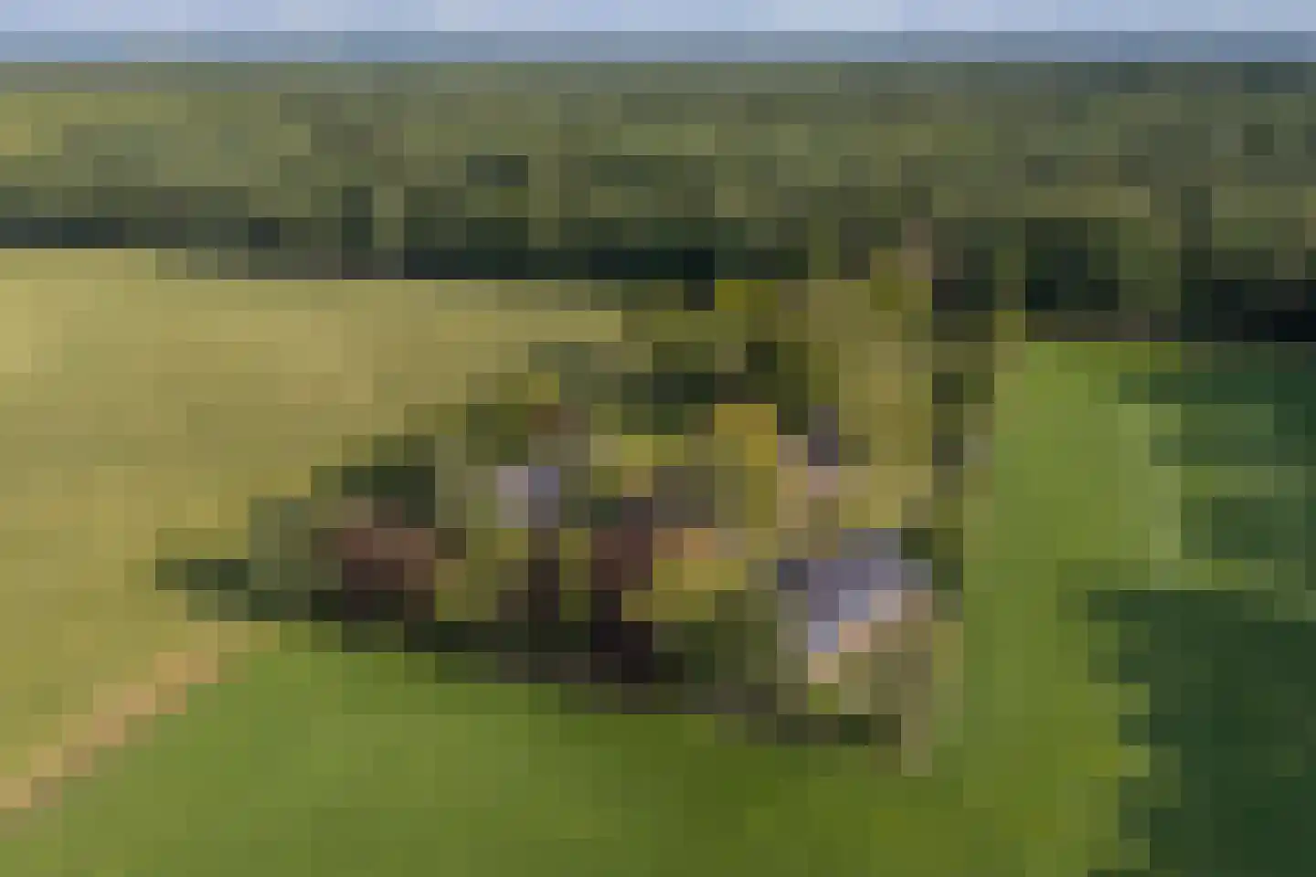 Exelseweg 23 Laren thumbnail 4