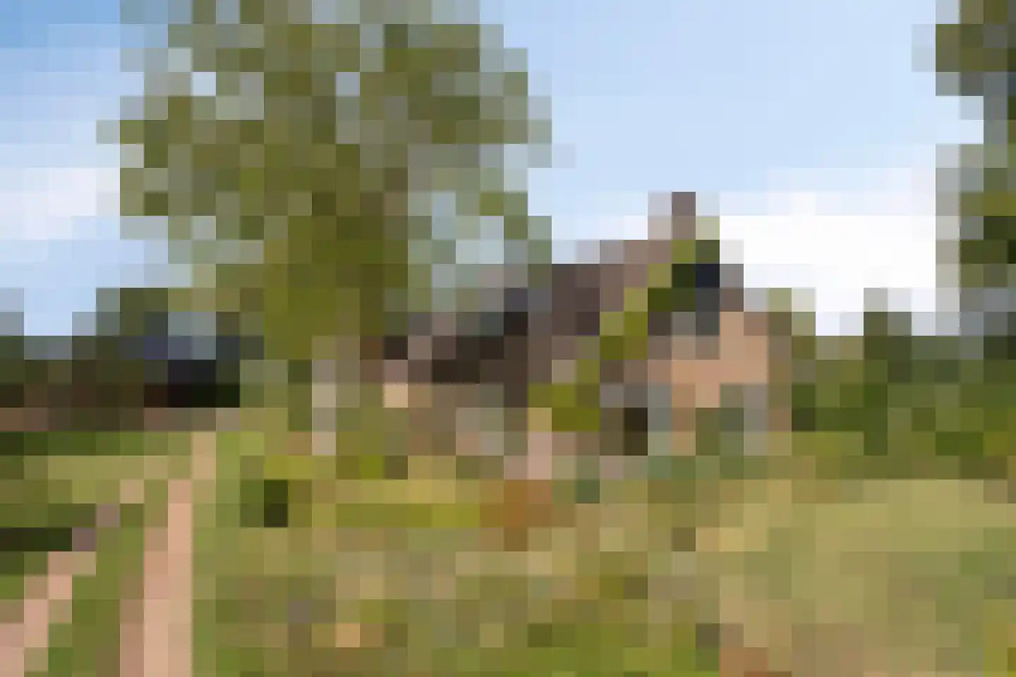 Exelseweg 23 Laren thumbnail 5