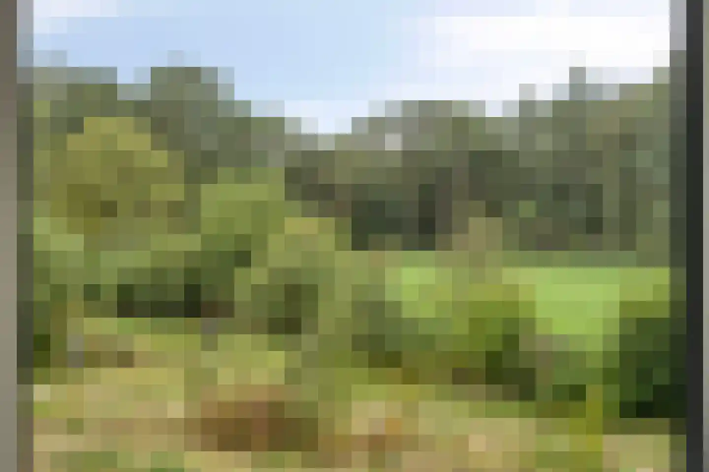 Exelseweg 23 Laren thumbnail 50