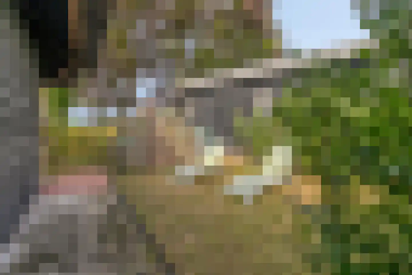 Exelseweg 23 Laren thumbnail 59