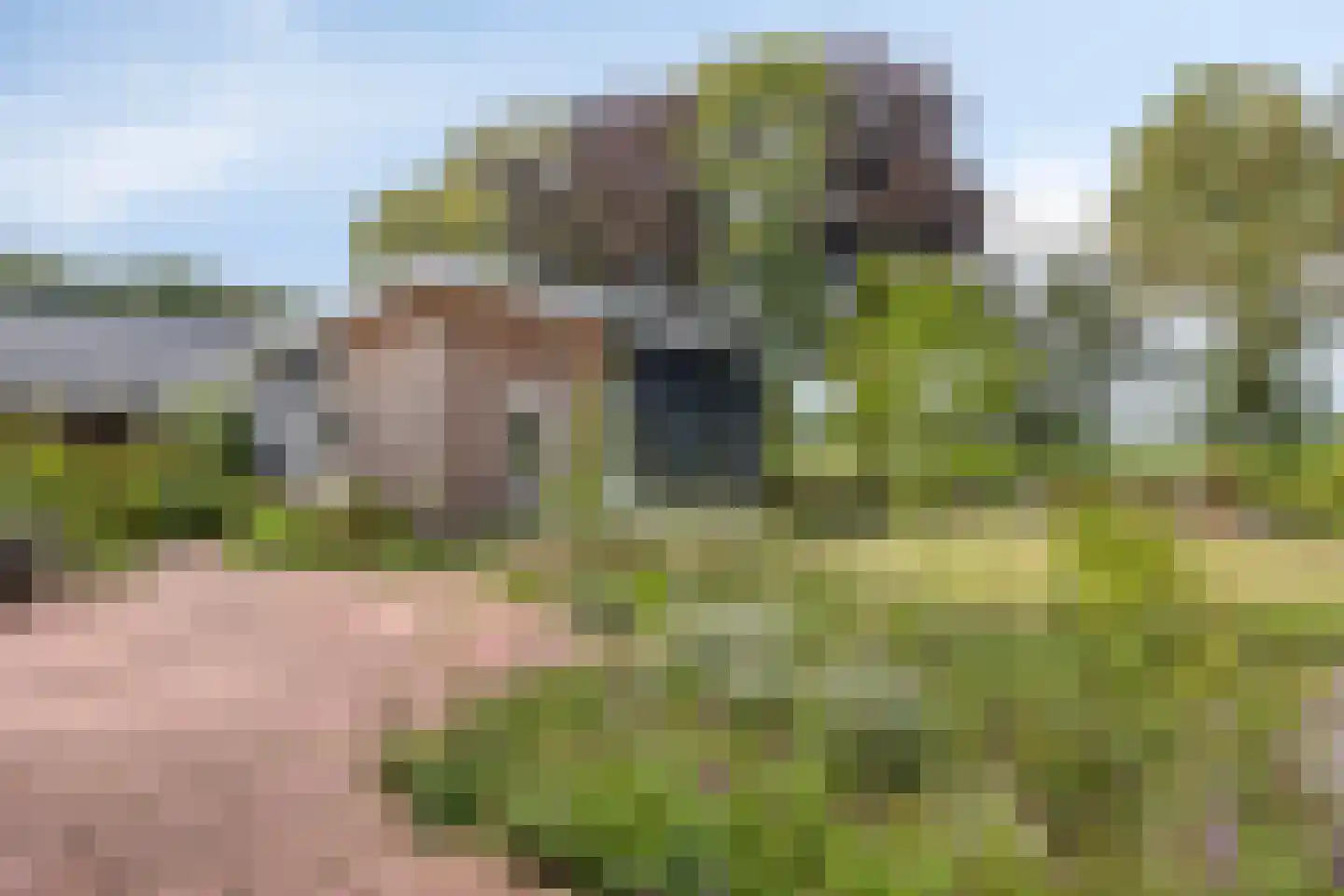 Exelseweg 23 Laren thumbnail 6