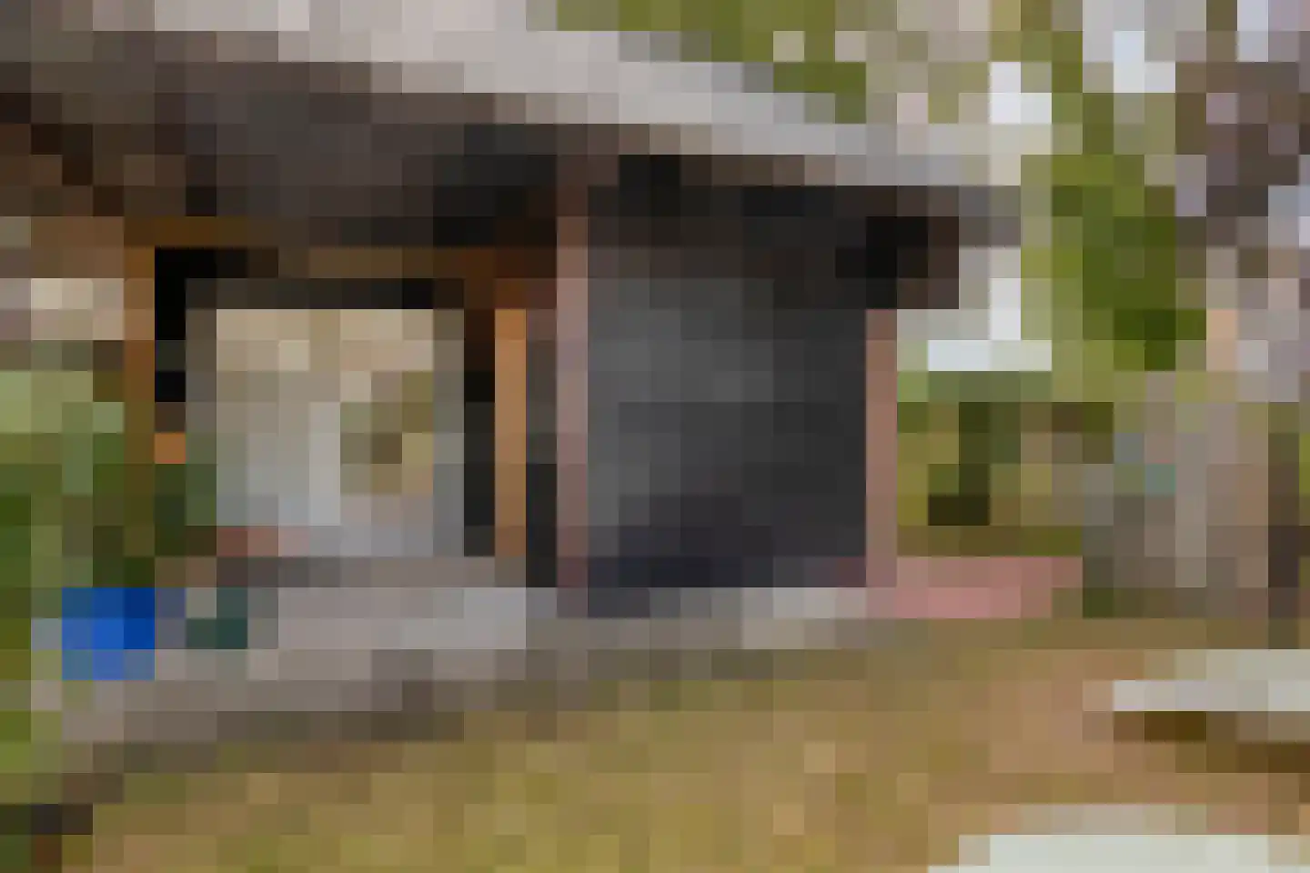 Exelseweg 23 Laren thumbnail 69