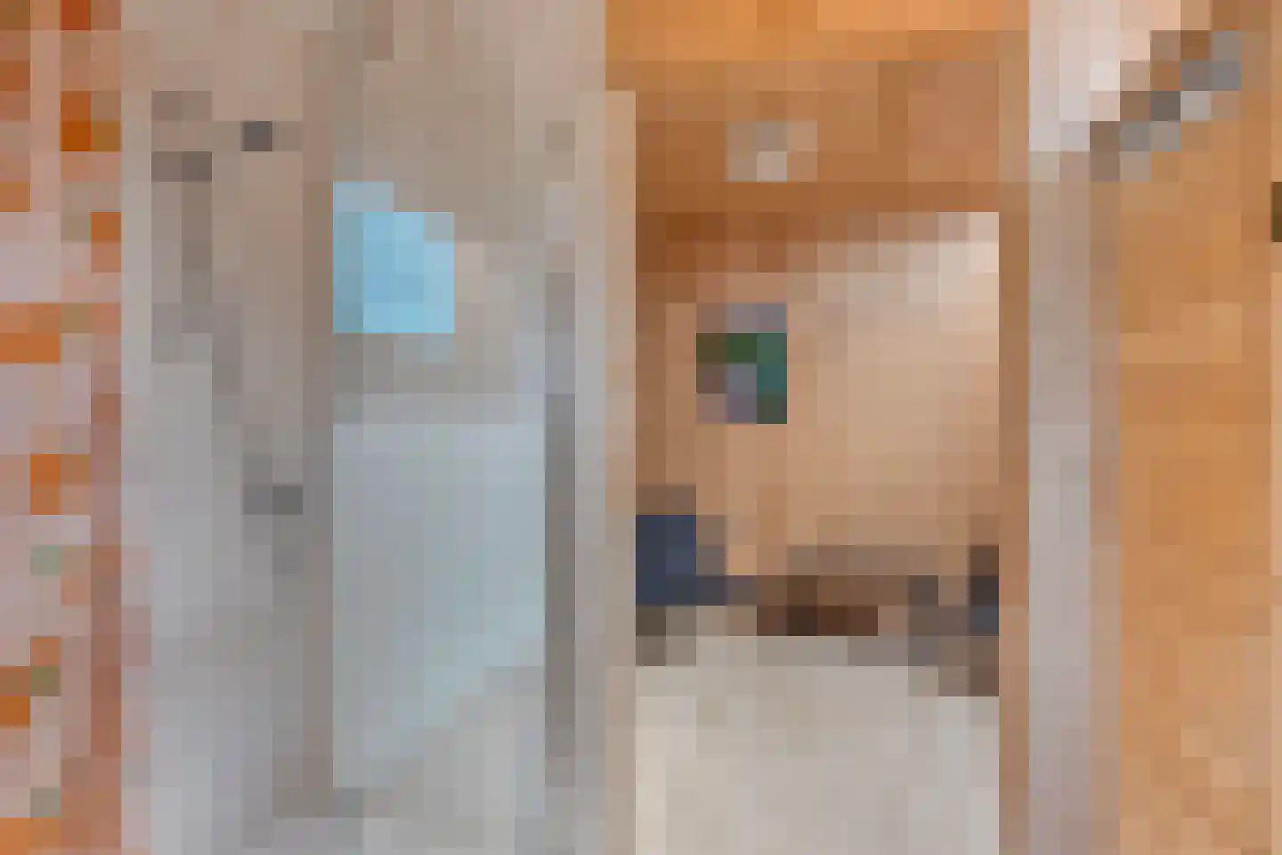 Exelseweg 23 Laren thumbnail 72