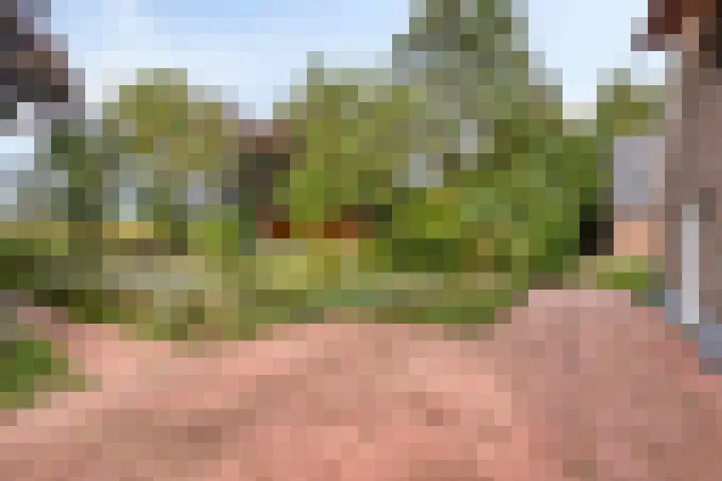 Exelseweg 23 Laren thumbnail 73