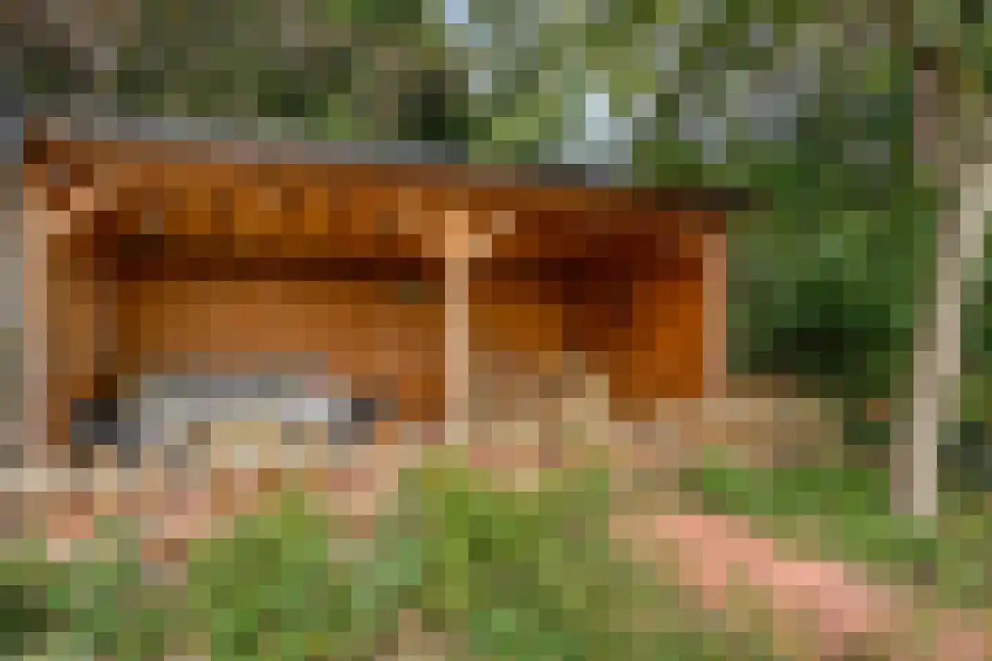 Exelseweg 23 Laren thumbnail 75