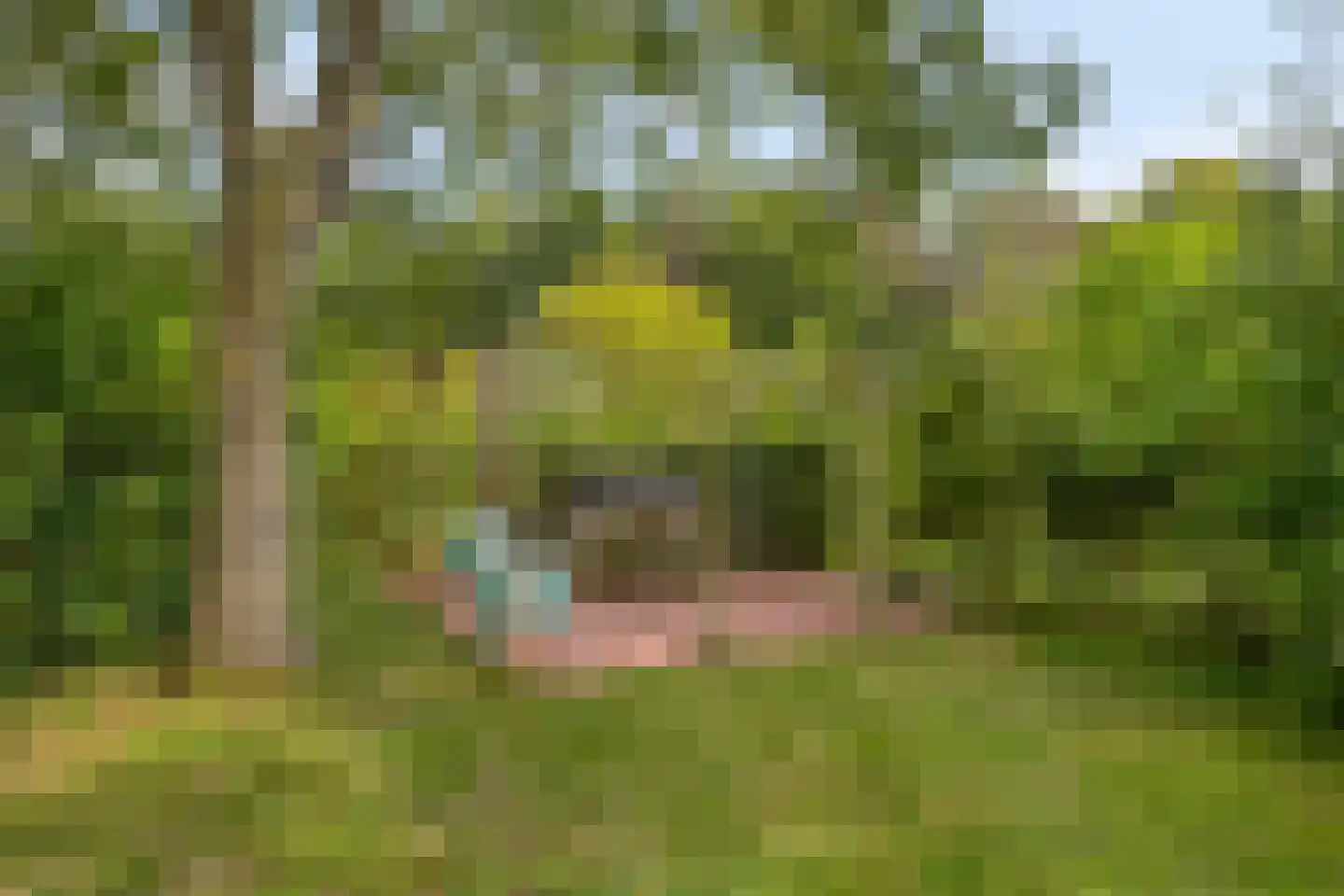 Exelseweg 23 Laren thumbnail 76
