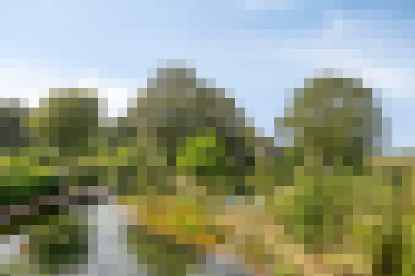 Exelseweg 23 Laren thumbnail 77