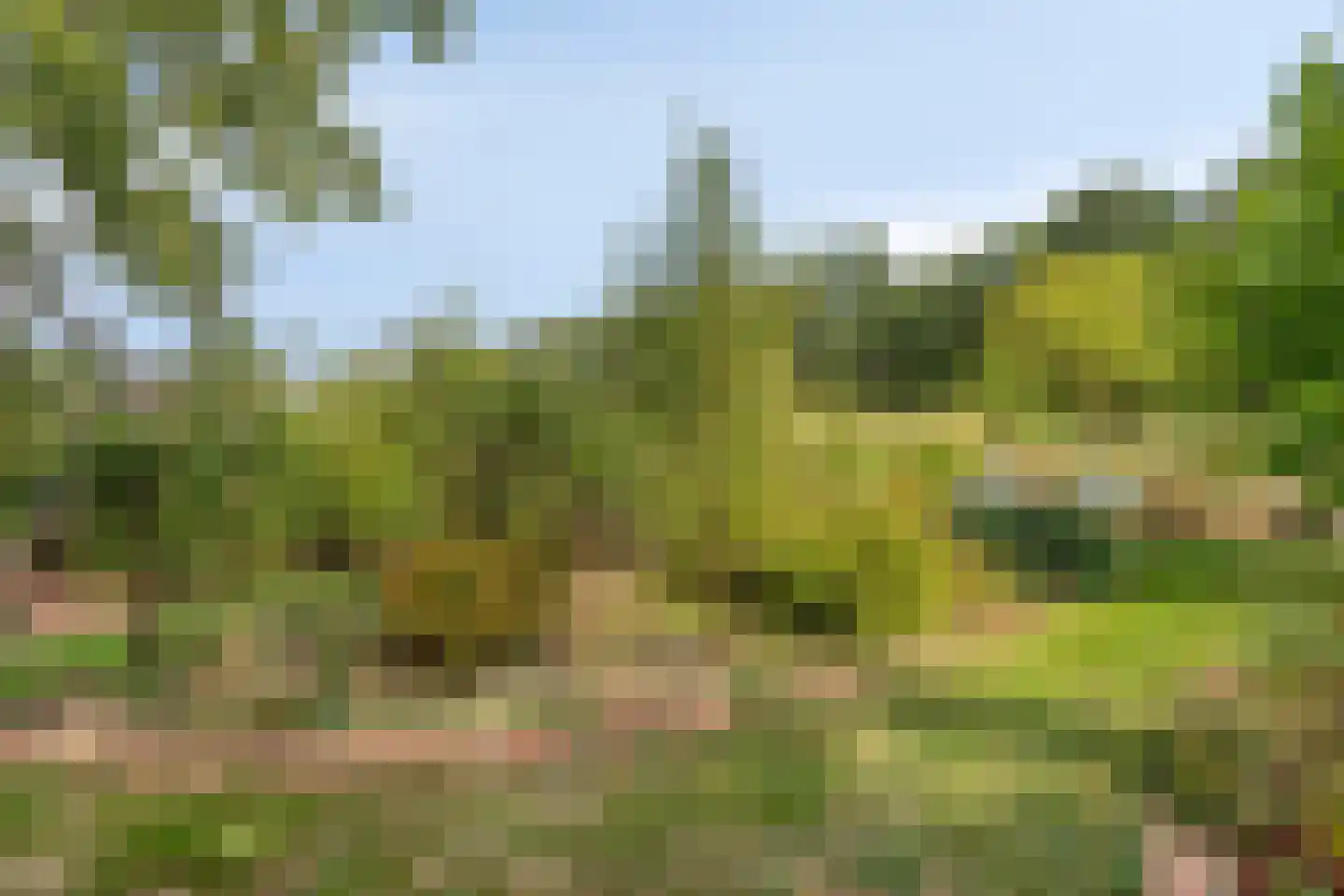 Exelseweg 23 Laren thumbnail 78