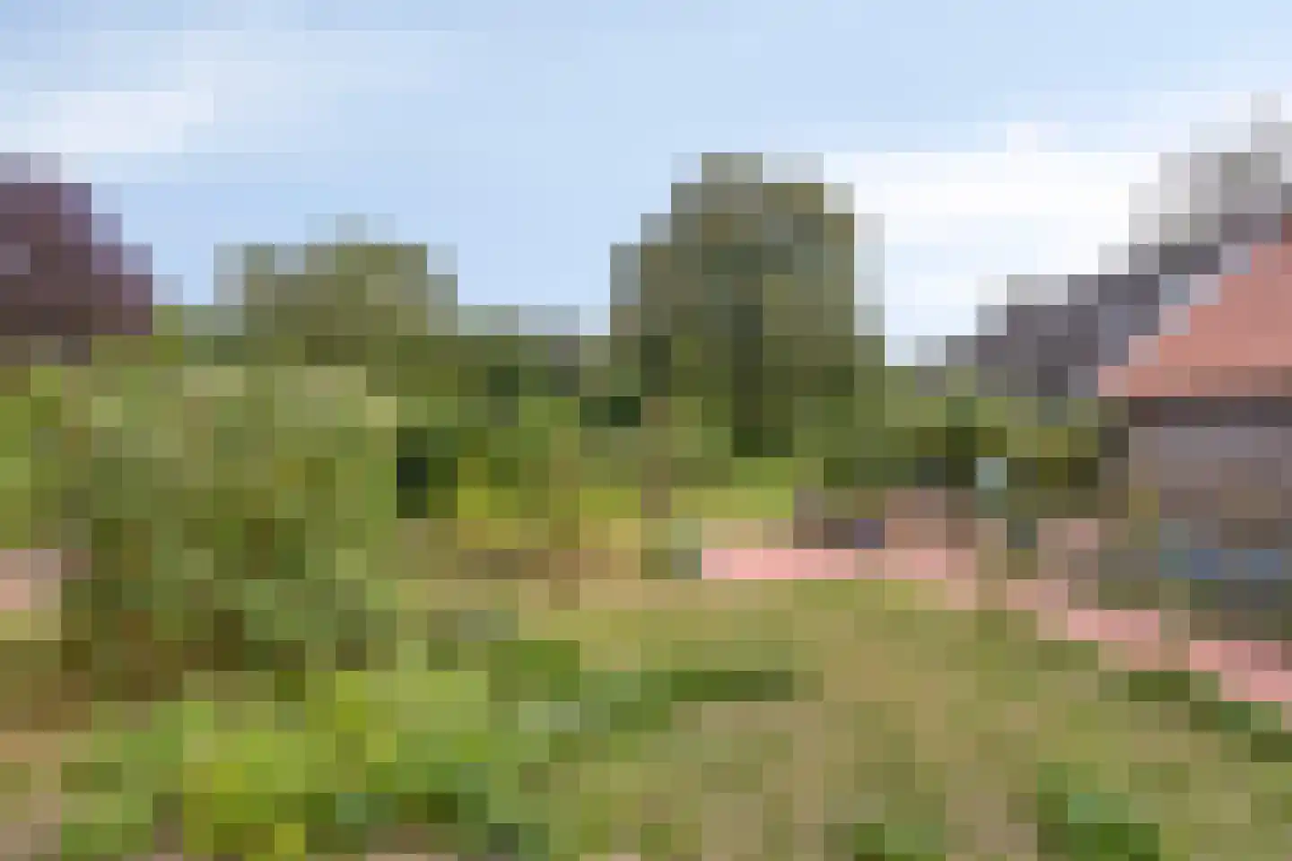 Exelseweg 23 Laren thumbnail 79