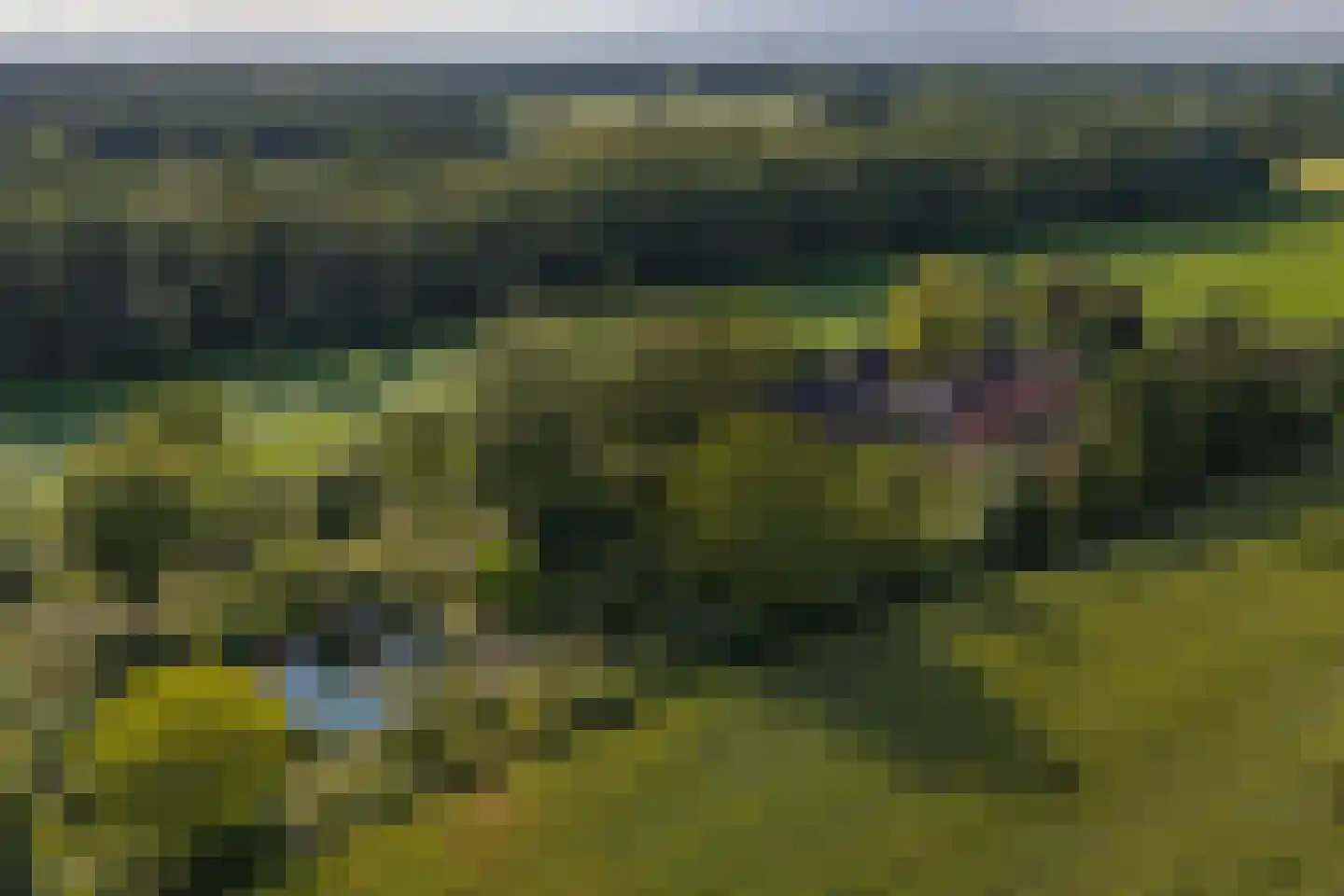 Exelseweg 23 Laren thumbnail 8