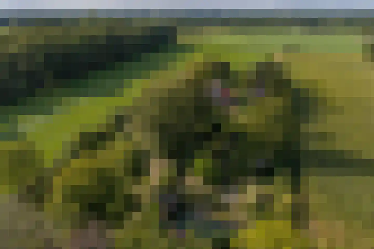 Exelseweg 23 Laren thumbnail 81