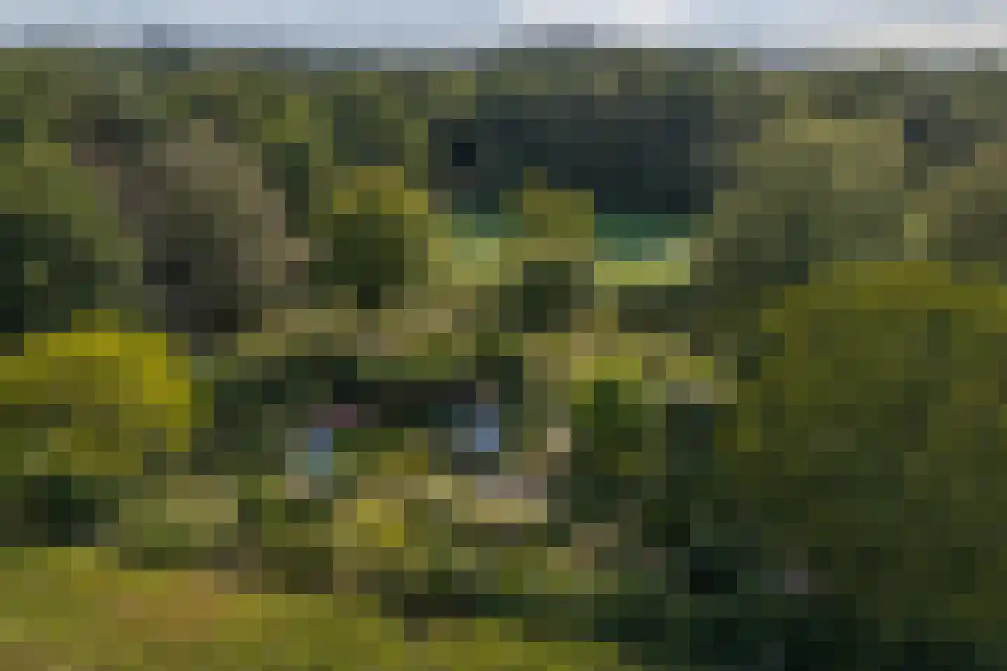 Exelseweg 23 Laren thumbnail 82