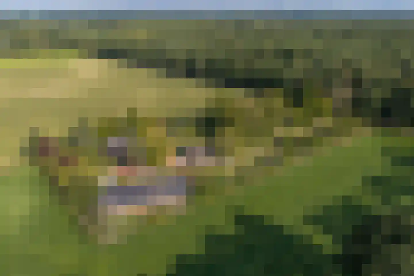 Exelseweg 23 Laren thumbnail 83