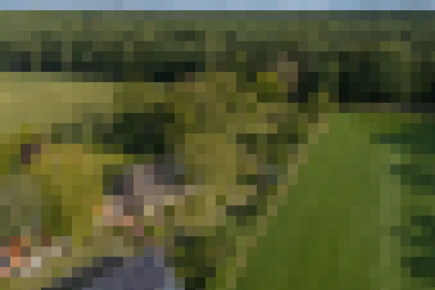 Exelseweg 23 Laren thumbnail 84