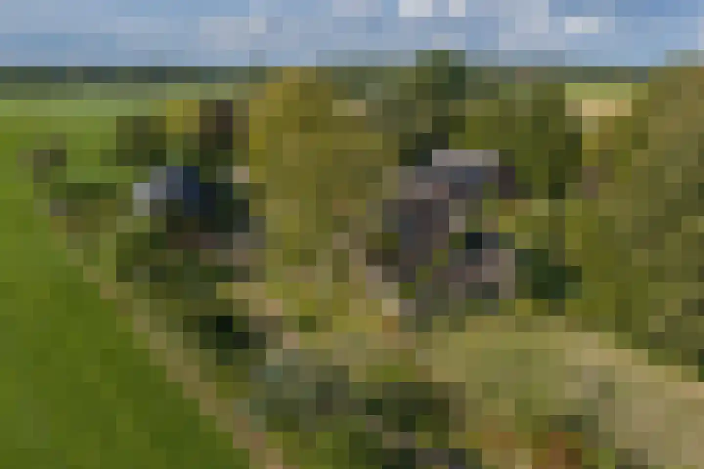 Exelseweg 23 Laren thumbnail 85