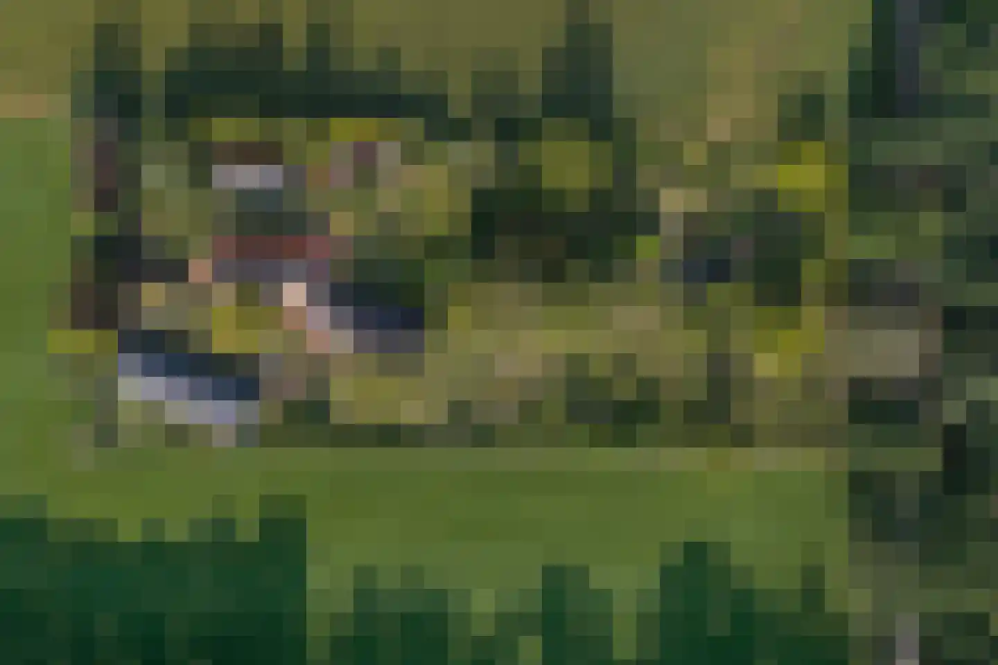 Exelseweg 23 Laren thumbnail 86