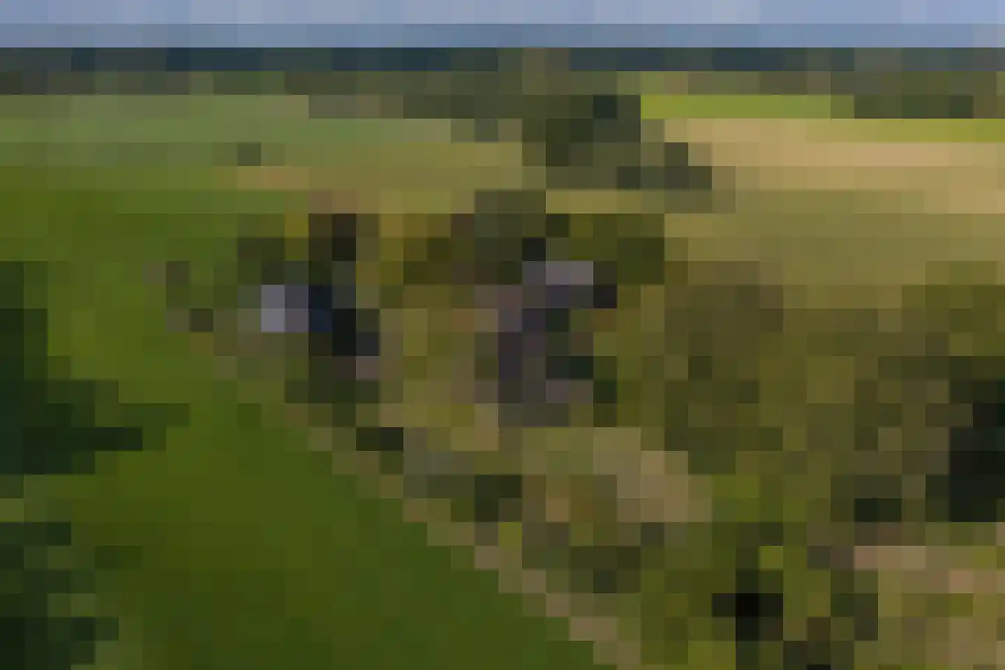 Exelseweg 23 Laren thumbnail 87