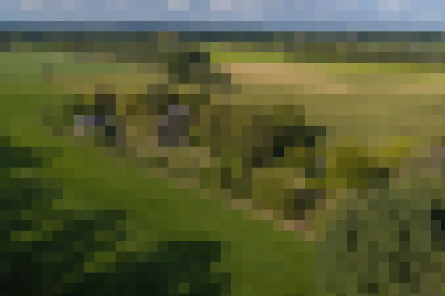 Exelseweg 23 Laren thumbnail 88