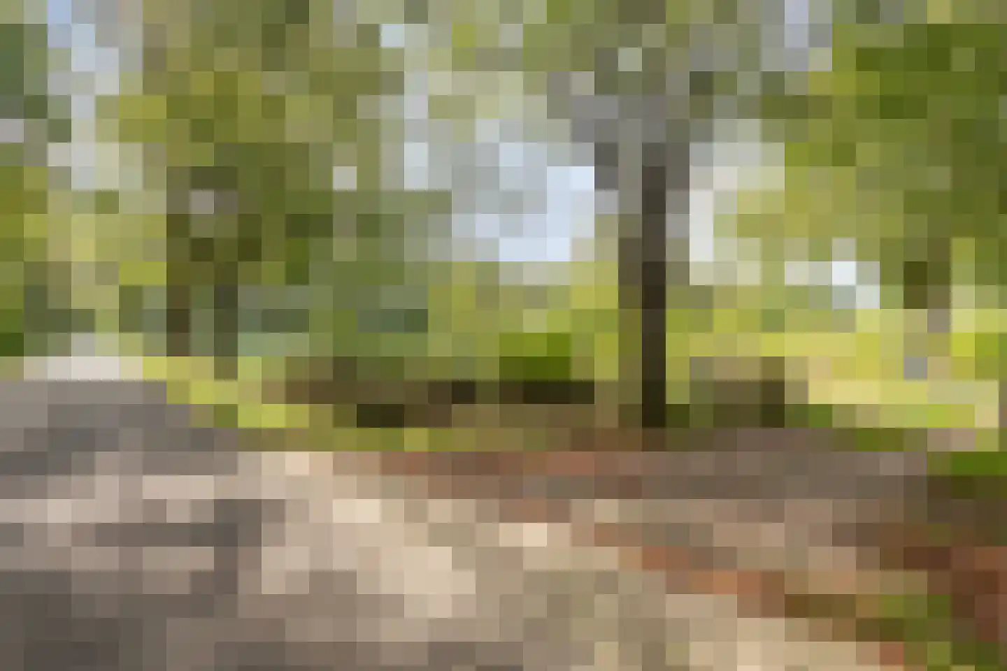 Exelseweg 23 Laren thumbnail 89