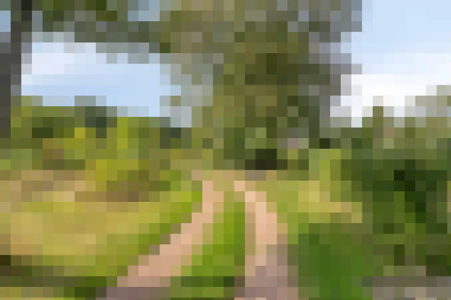 Exelseweg 23 Laren thumbnail 9