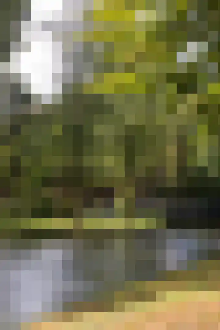 Exercitiestraat 13 Rotterdam thumbnail 37
