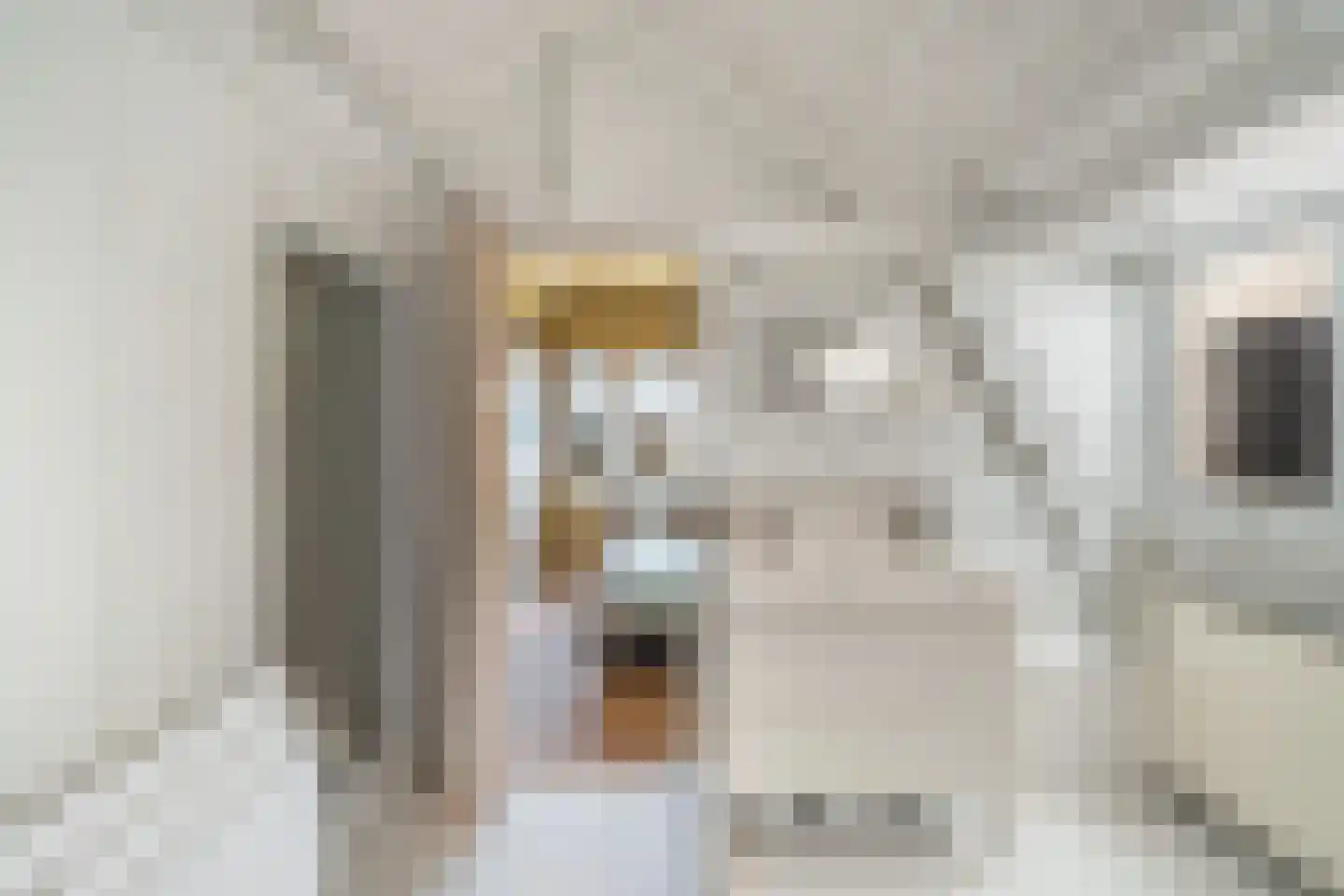 Exercitiestraat 26 Rotterdam thumbnail 32