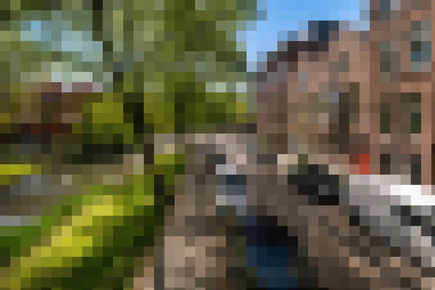 Exercitiestraat 26 Rotterdam thumbnail 39