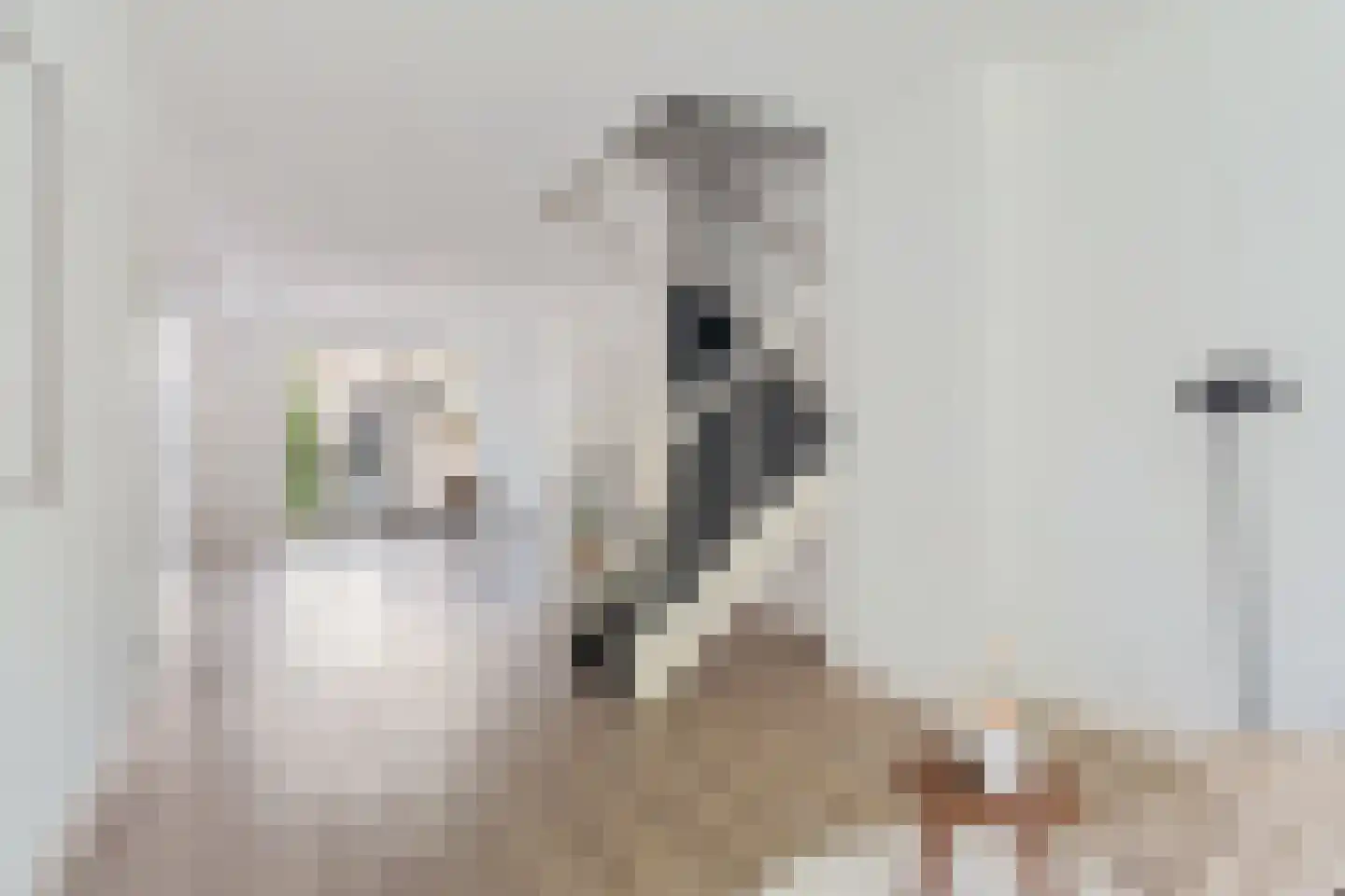 Exercitiestraat 4 B Rotterdam thumbnail 27
