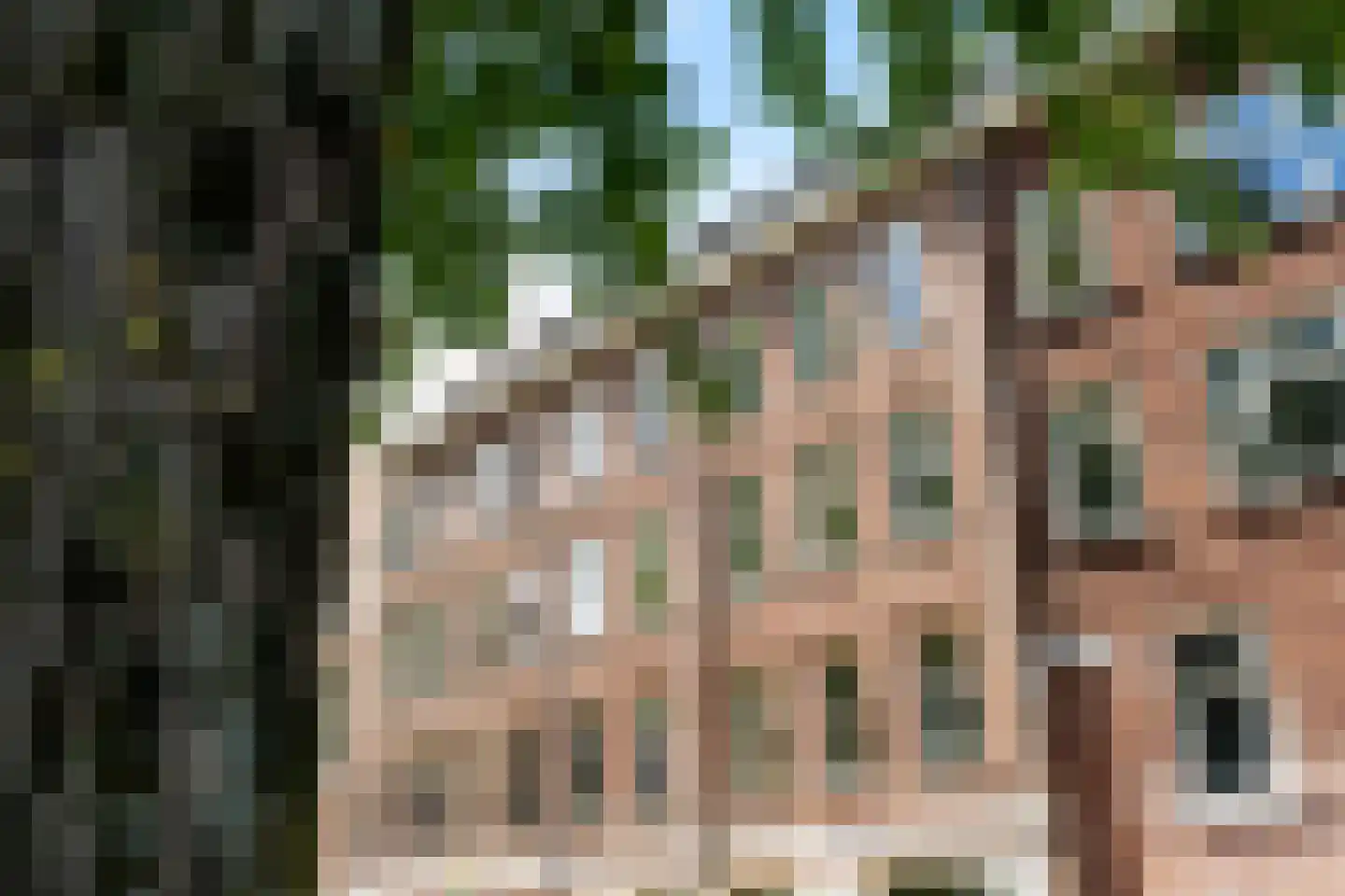 Exercitiestraat 4 B Rotterdam foto 3