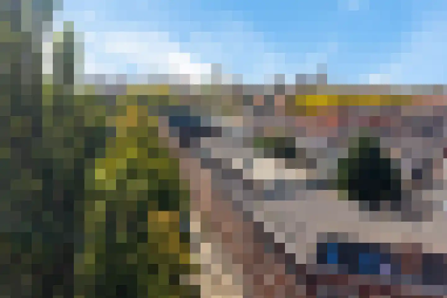 Exercitiestraat 4 B Rotterdam thumbnail 47