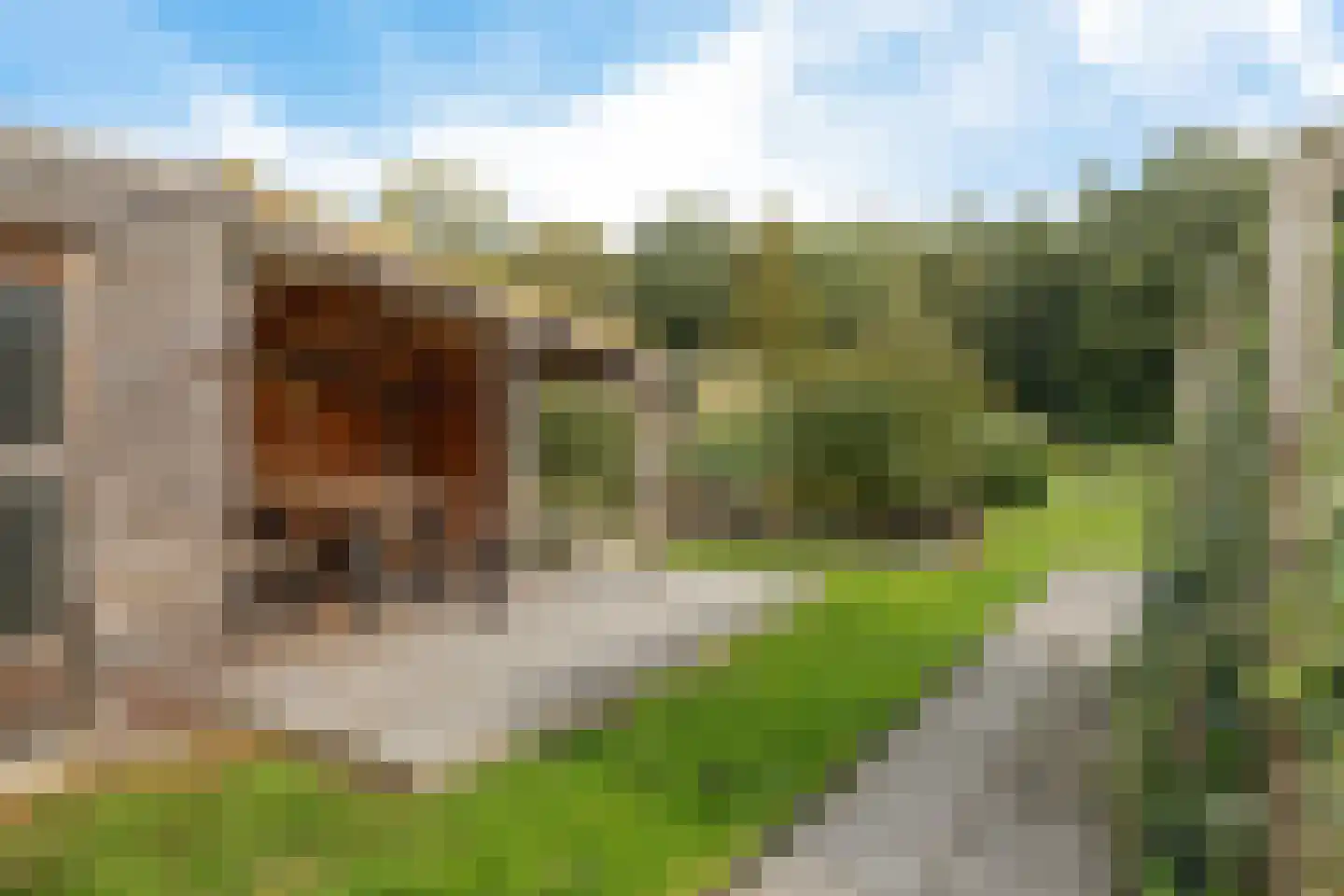 Exloërkijl-Zuid 127 2e Exloërmond thumbnail 35
